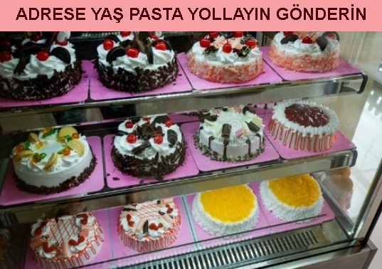 Erzincan Yenidoğan Mahallesi Adrese yaş pasta yolla gönder