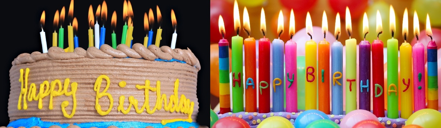 Erzincan Şeffaf meyveli yaş pasta doğum günü pastası siparişi