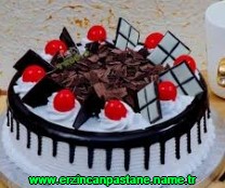 Erzincan Esentepe Mahallesi çikolatalı yaş pasta yolla