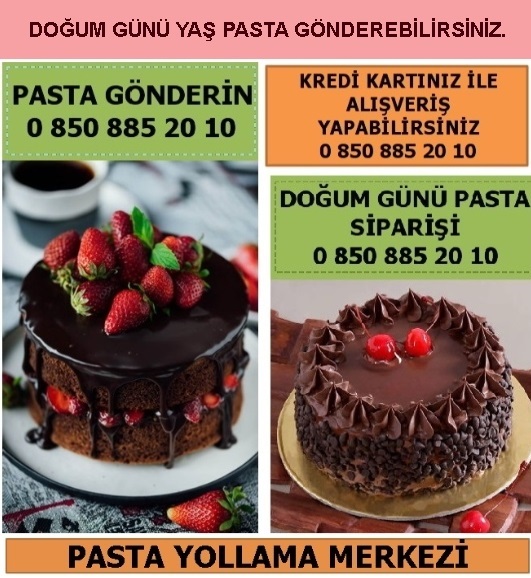 Erzincan Tatlı kuru pasta yaş pasta yolla sipariş gönder doğum günü pastası